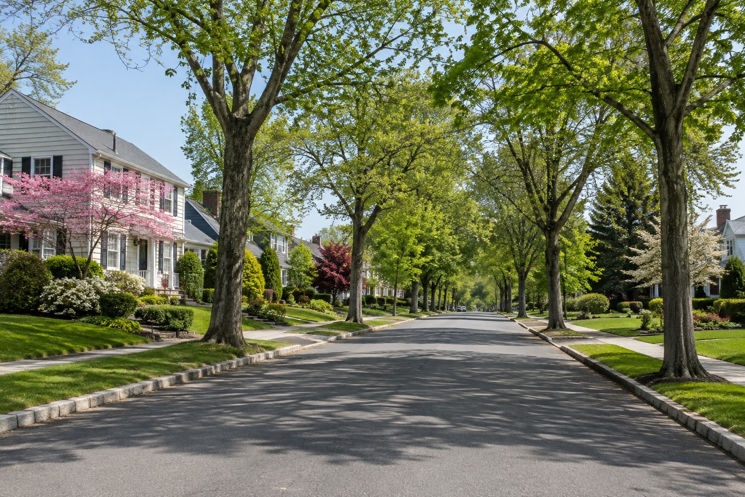 FanWood